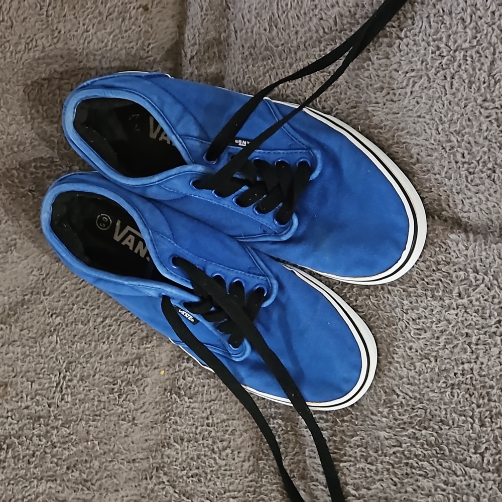 Mens Blue Vans